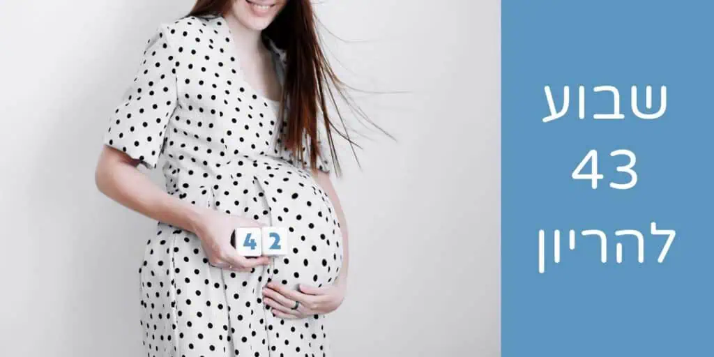 שבוע 43