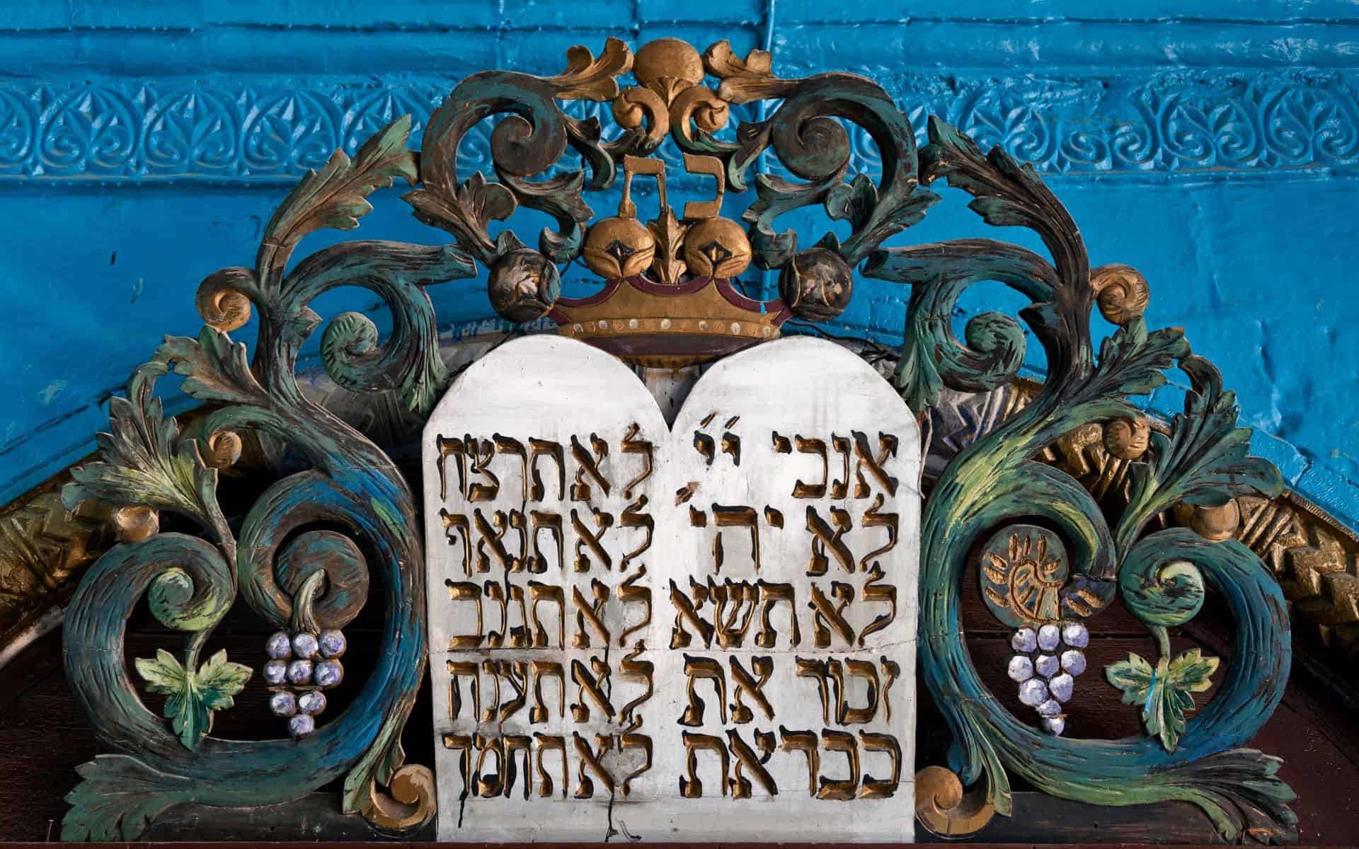 שמות-לבנים-מהתורה