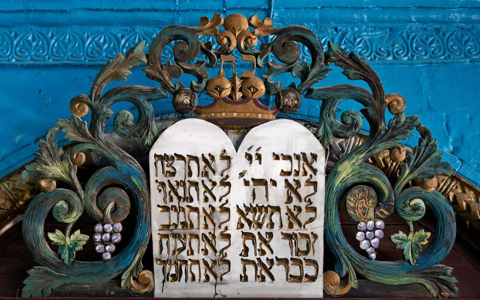 שמות-לבנים-מהתורה