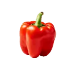 בשבוע 18 התינוק בגודל של גמבה