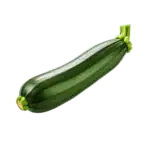בשבוע 24 התינוק בגודל של זוקיני