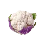 בשבוע 27 התינוק בגודל של כרובית