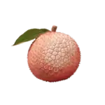בשבוע 10 התינוק בגודל של ליצ'י
