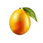 בשבוע 20 התינוק בגודל של מנגו