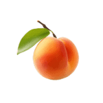 בשבוע 13 התינוק בגודל של משמש