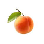 בשבוע 13 התינוק בגודל של משמש