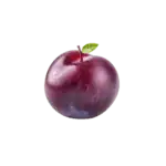 בשבוע 12 התינוק בגודל של שזיף